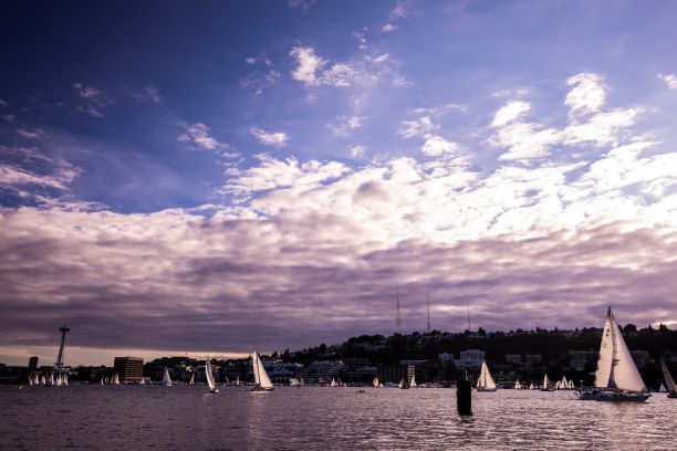 Sailboats on lake union