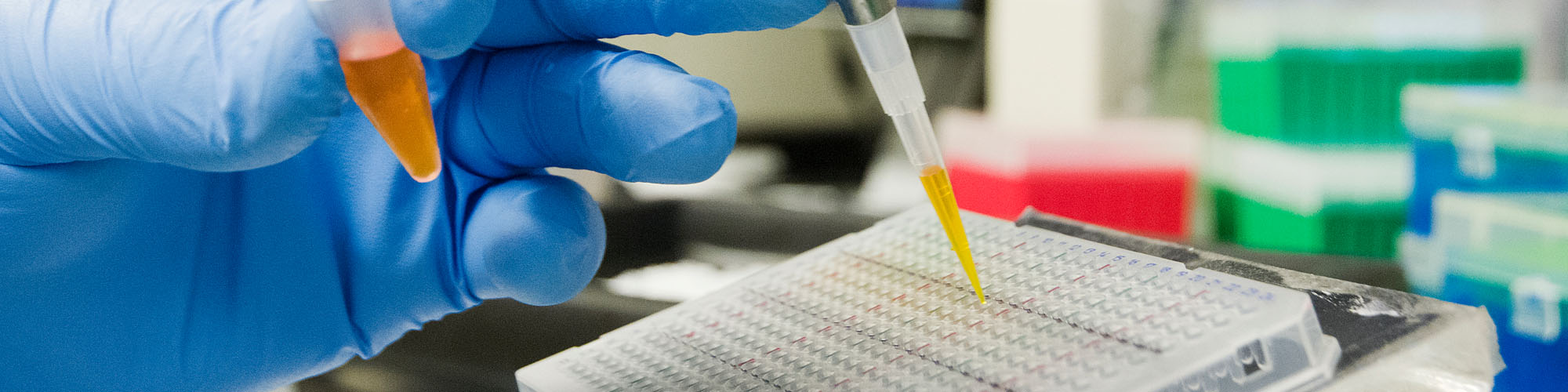 Lab Work